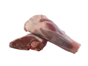 Foreshank