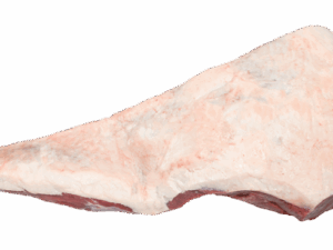 Rump