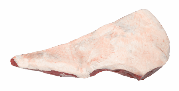Rump