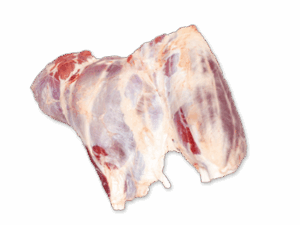Shank