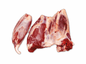 Forequarter Shin / Shank