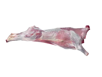 Beef Carcass