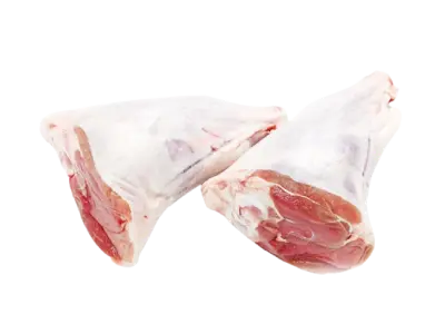 Hindshank