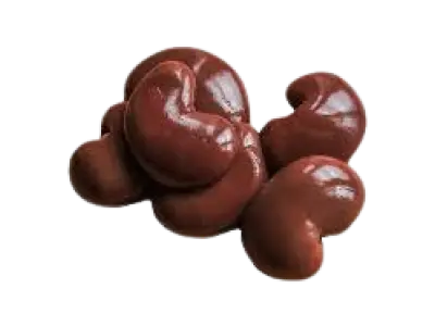 Kidney