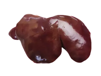 Liver